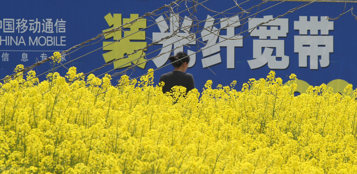 电信宽带网速慢怎么解决,移动晚上网速