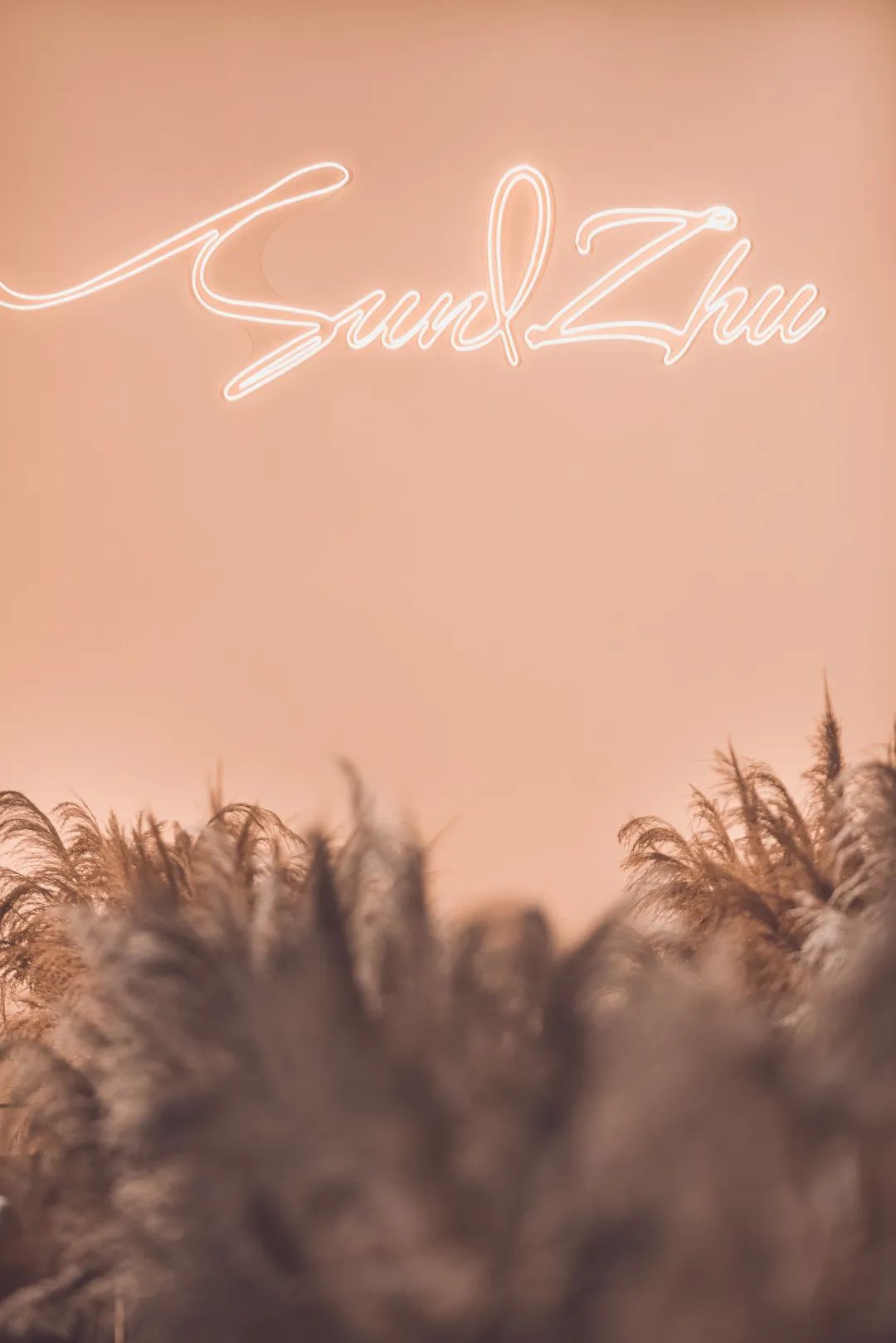 浪漫奢华草坪花园婚礼,充满爱意的婚礼