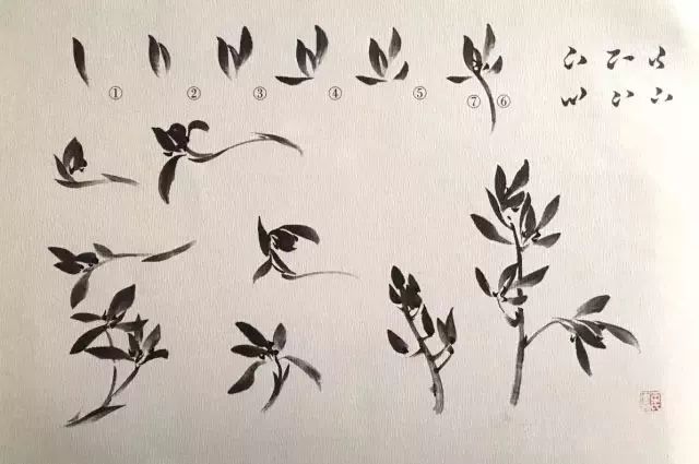 水墨怎么画兰花最好看,如何画兰花大全图片