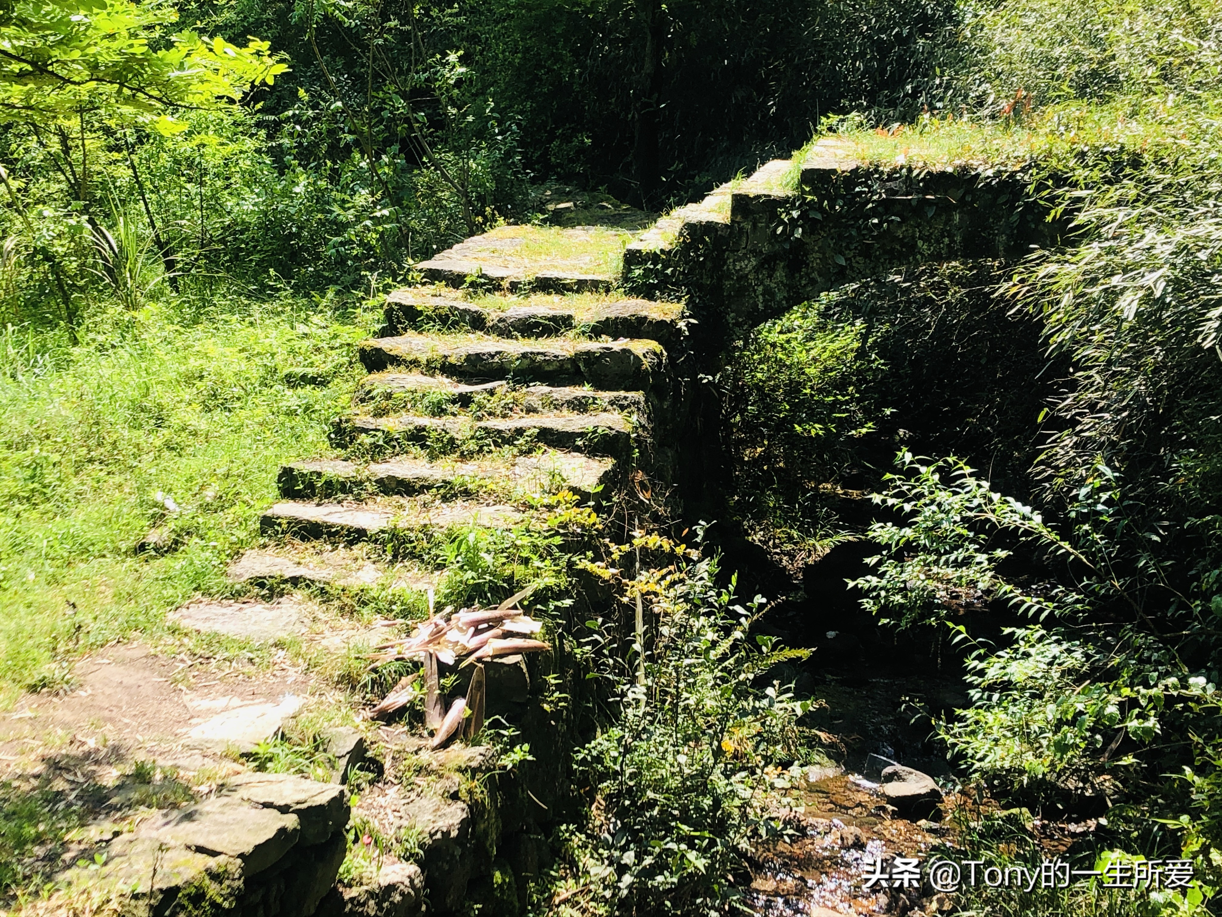 长亭古道旅游攻略,长亭外古道边古道在哪里
