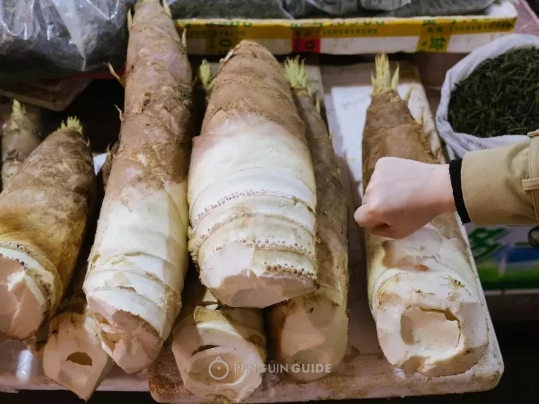 湖州：一座太湖南边的宝藏小城，春笋湖鲜河鱼，嘴巴好忙