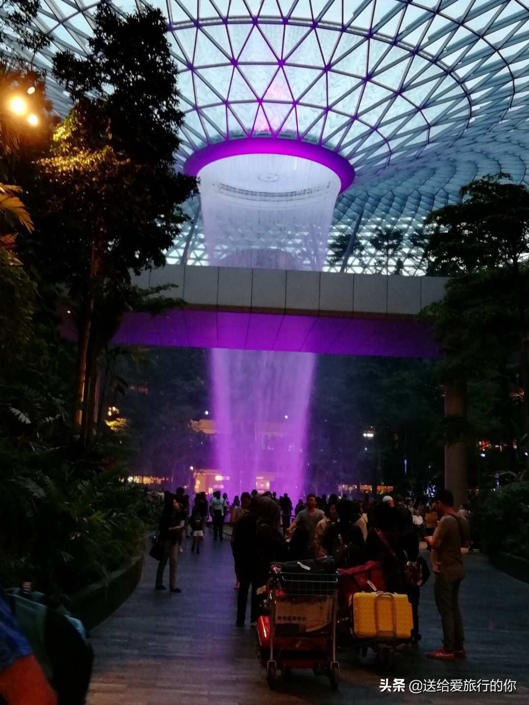 旅居新加坡的华人,旅居海外的华人