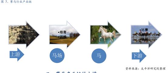 体育行业报告,体育赛马项目介绍