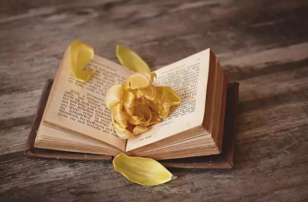 日常见面寒暄用语,日常寒暄打招呼语言