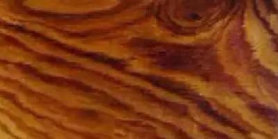 史上最全“红木”图解,看看哪种红木价值最高?