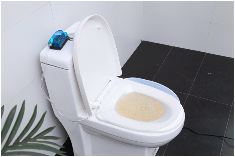 鏄ラ鍚瑰張鐢熺殑鑽夋湰妞嶇墿,鏄ラ鍚瑰張鐢熺殑閲庤崏