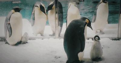 来一场说走就走的旅行珠海长隆,广东长隆及珠海长隆旅游攻略