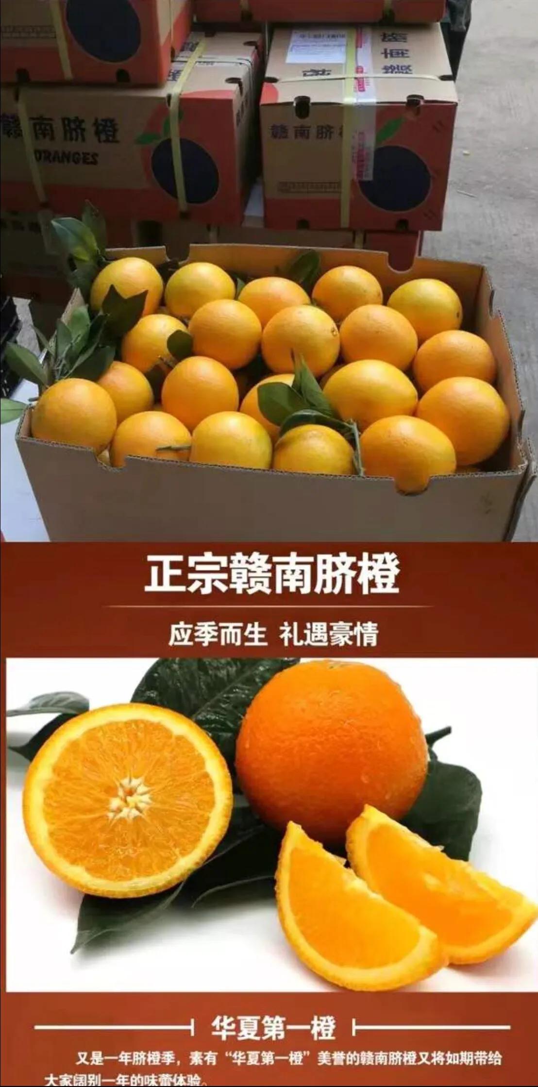 赣南脐橙一口就爆汁,一口一个爆汁的水果