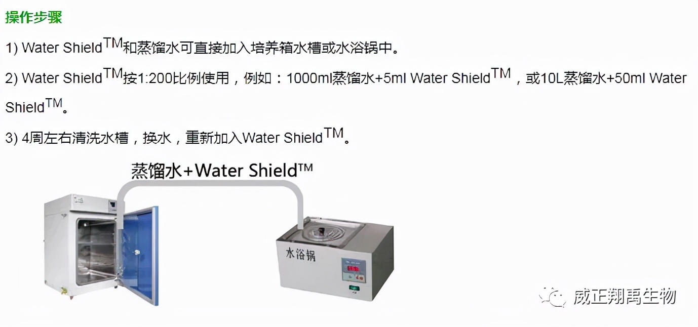 支原体污染怎么处理,支原体污染