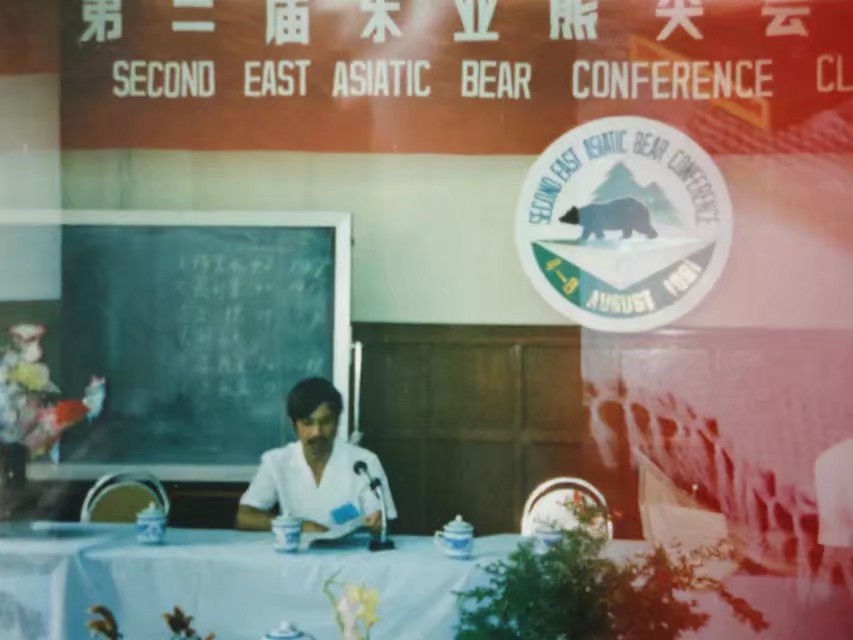 伊春林区往事,伊春林区往事1982年