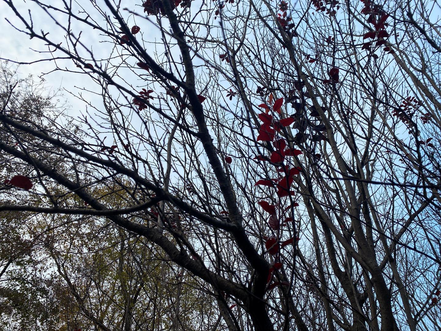 南京可以露营的公园,打卡南京旅游的景点