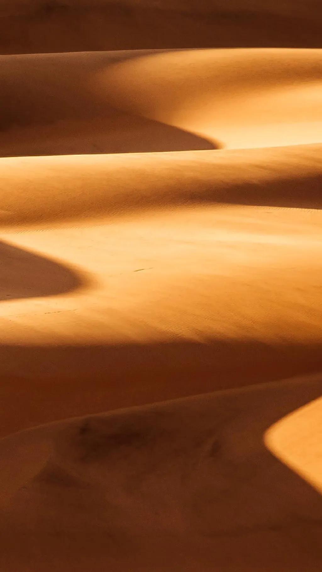 壁纸超清风景沙漠,沙漠壁纸高清图片大全