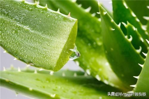 秋季保养皮肤的护肤步骤,秋季皮肤保养的重要性