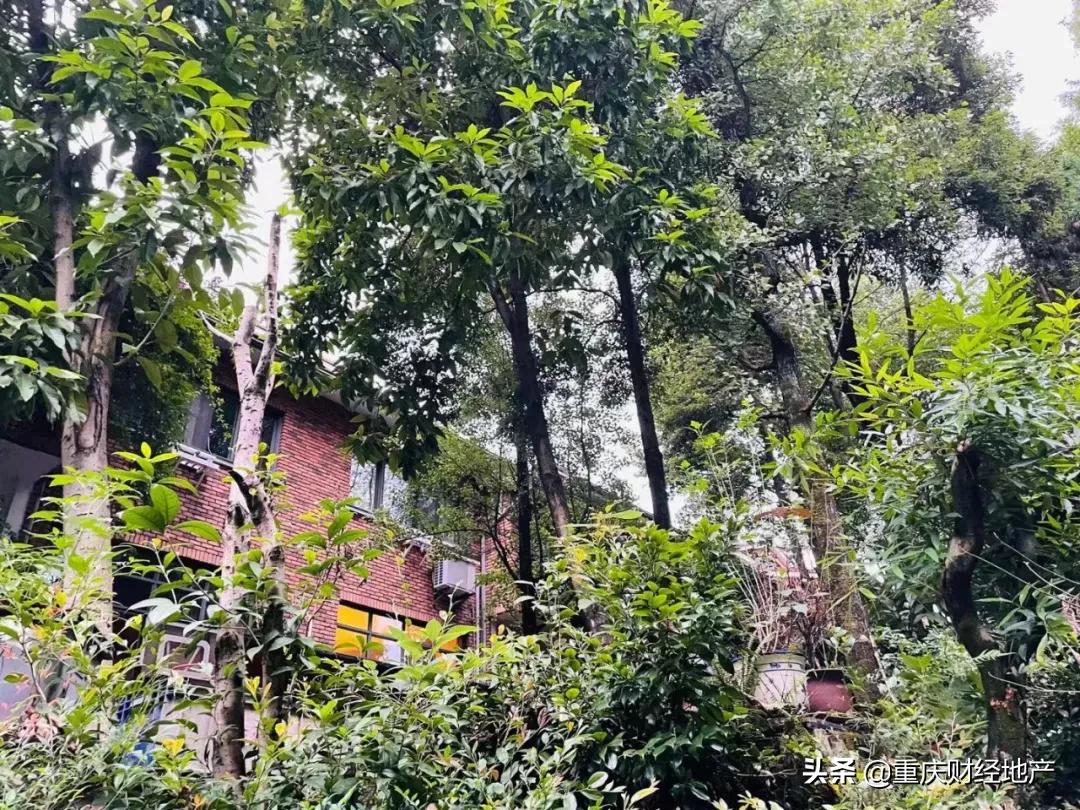 蓝湖郡品质楼盘,蓝湖郡最好的楼盘