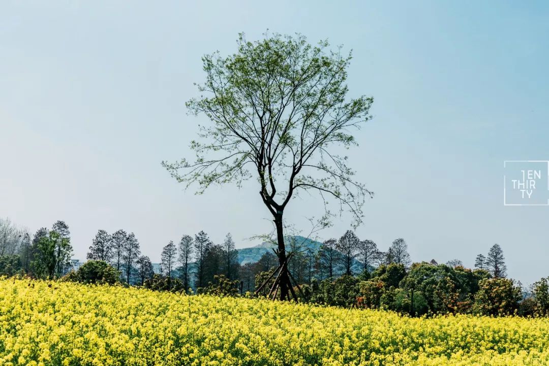 武汉是世界面积最大的一个市,武汉面积最大的小区