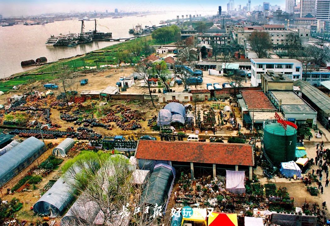 武汉70周年的变化发展,湖北武汉70年荆楚巨变