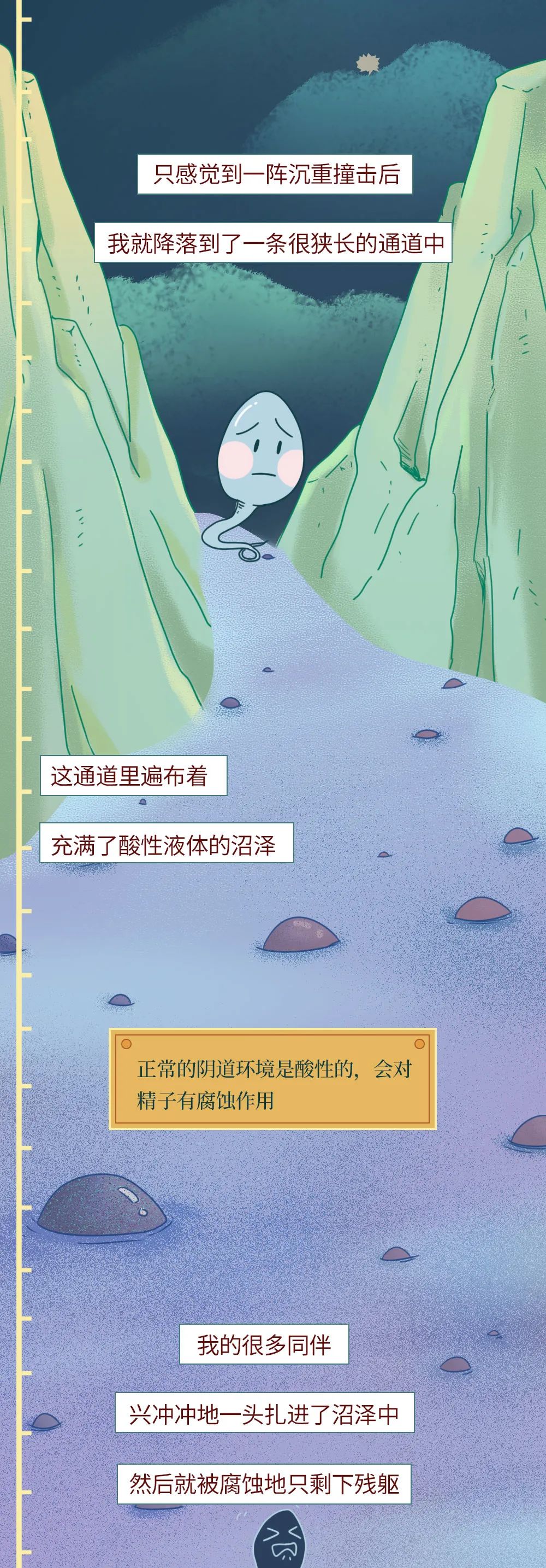 科普知识精子液化后的状态,男性精子在体内存活时间