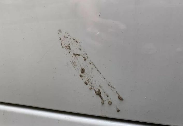 车漆最怕的不是暴晒,夏天车漆暴晒会怎样