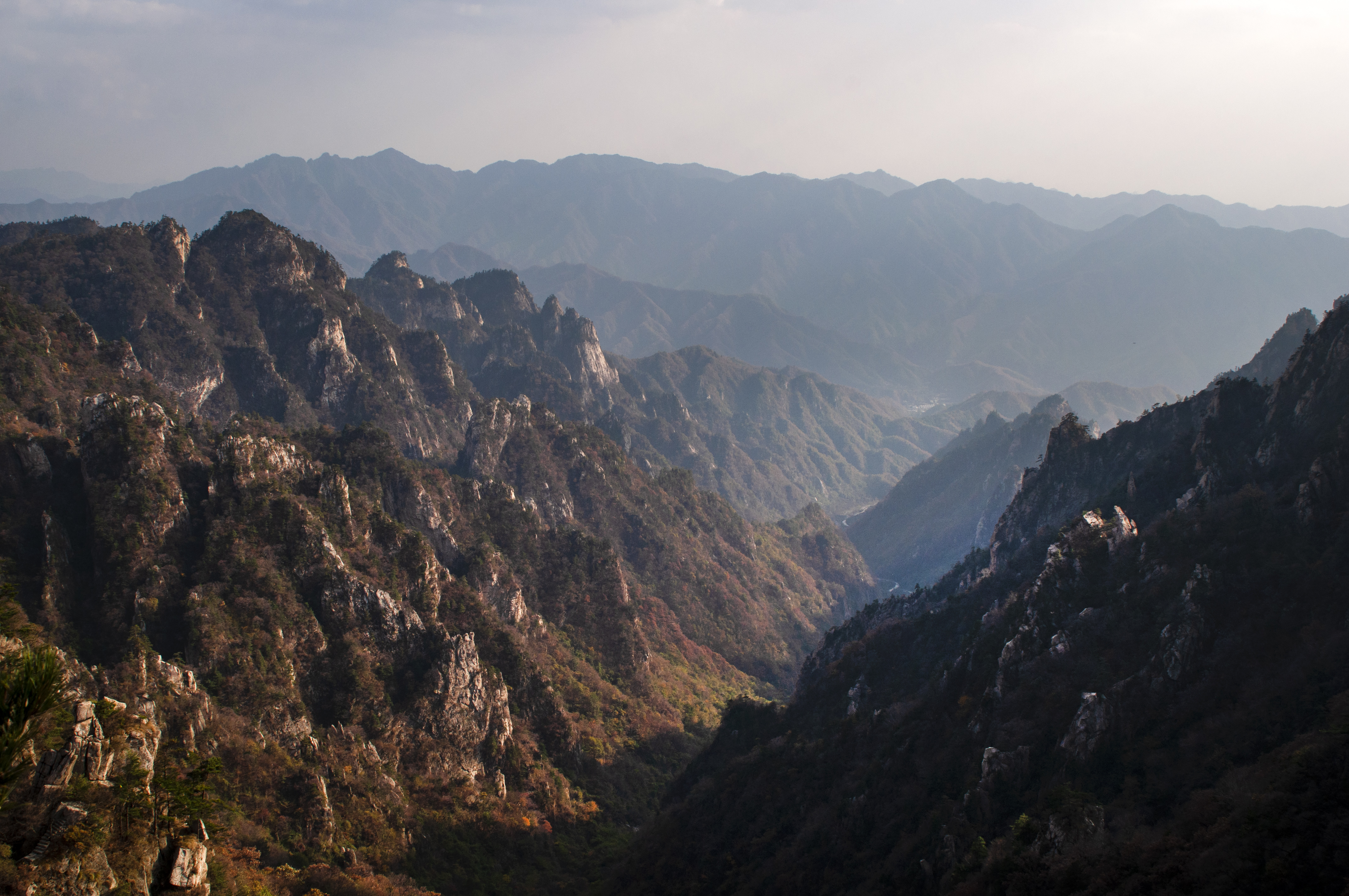 老界岭夏日风景,深秋山里的风景