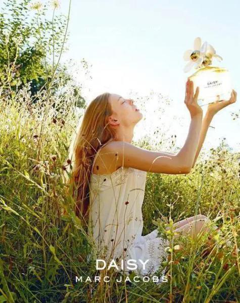 小雏菊不好的寓意,小雏菊为啥不吉利