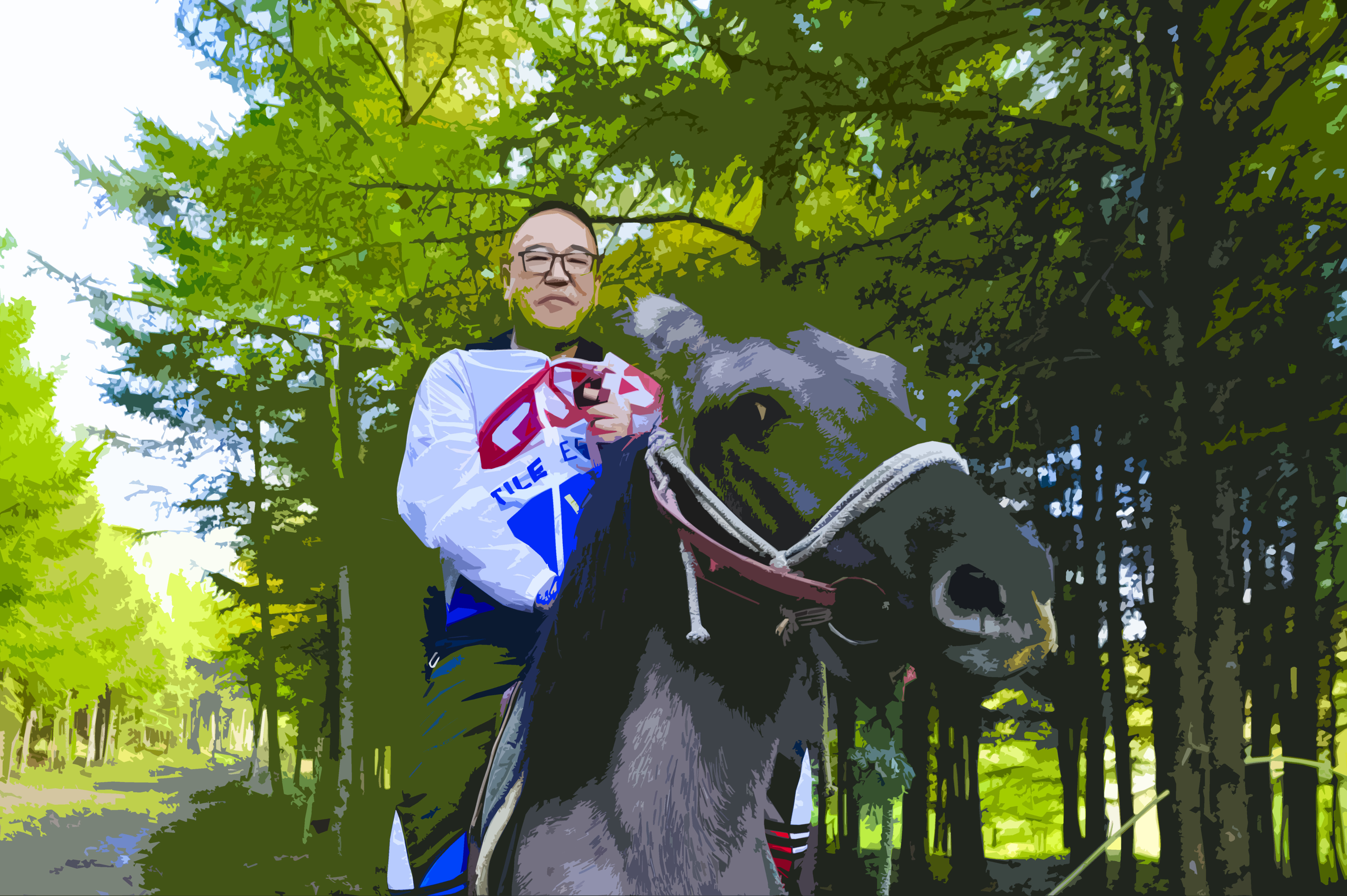 丰宁神仙谷七彩森林景区地图,丰宁坝上七彩森林游玩攻略