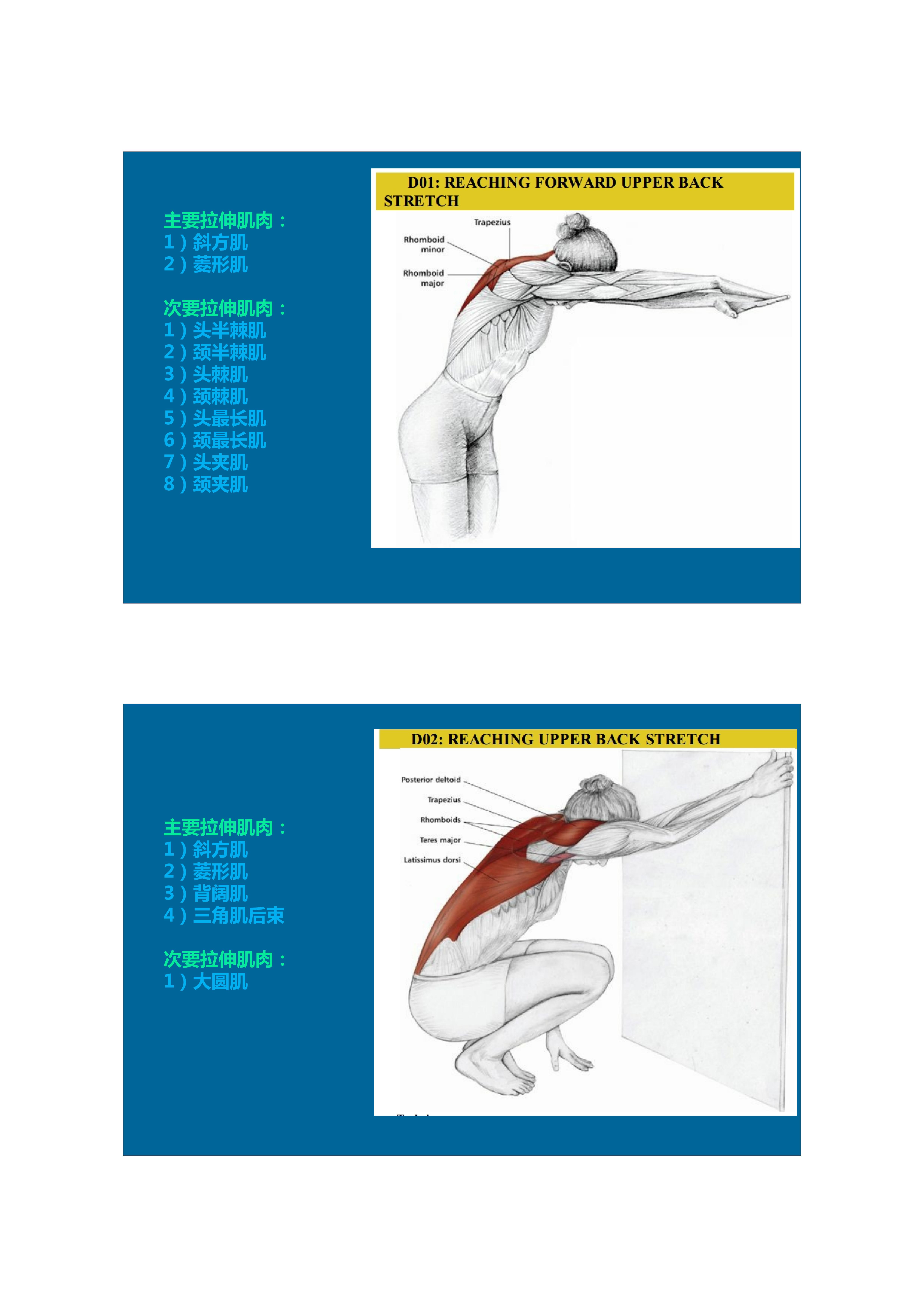 1分钟拉伸动作视频,拉伸腿部技巧