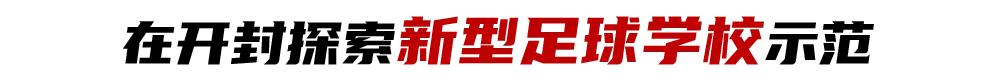 专家点评中国足球现状,中国青少年足球浅析