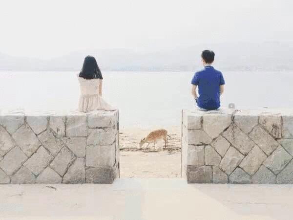 怎么用手机拍出堪比单反的照片,如何用手机拍出单反效果的照片