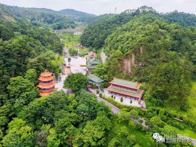 本港台播放过的动画,本港台曾经推出的纪录片