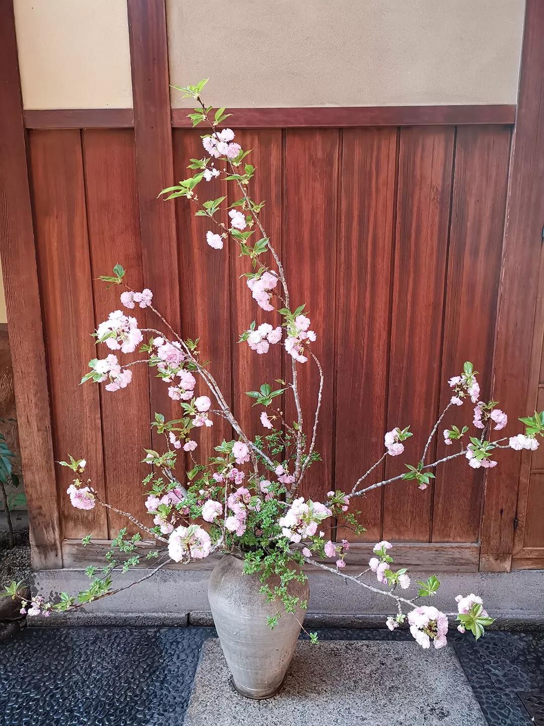 「慢达世界」第216期:短暂停留的京都生活,柊家的待客之道