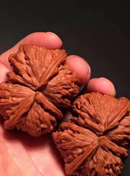 文玩核桃阴皮和反油,文玩核桃阴皮和反油怎么办