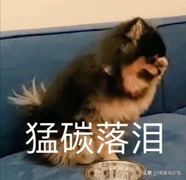 震惊韩圈的中国粉丝,金泰亨中国粉丝计划