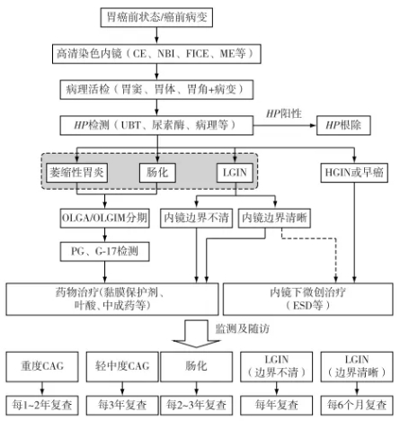 早期胃黏膜癌预后,胃粘膜癌前病变治疗