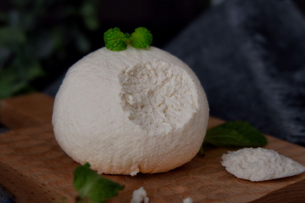 如何用纯牛奶自制奶酪,牛奶做奶酪白醋的比例