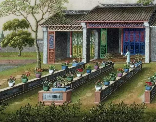 瑭碧香事|一物降一物，以天然香气来驱蚊