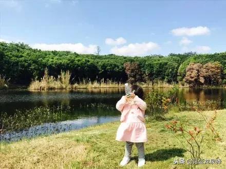 打卡青龙湖湿地公园,青龙湖湿地公园拍照技巧