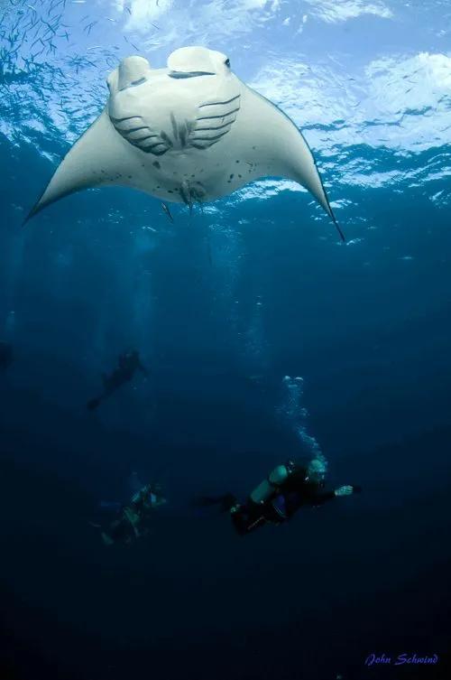 人间仙境之帕劳,帕劳是位于太平洋上的一个小国