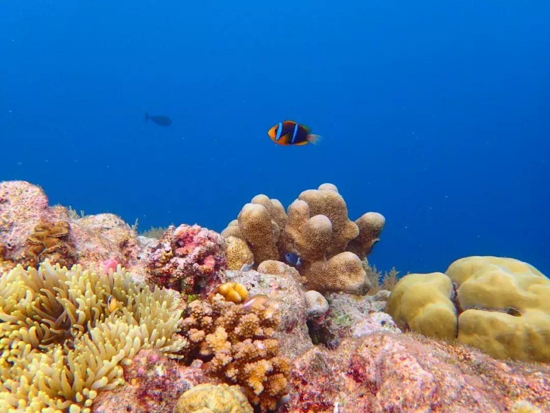 中国护照迎来最强时刻手中的护照又又又升值了！