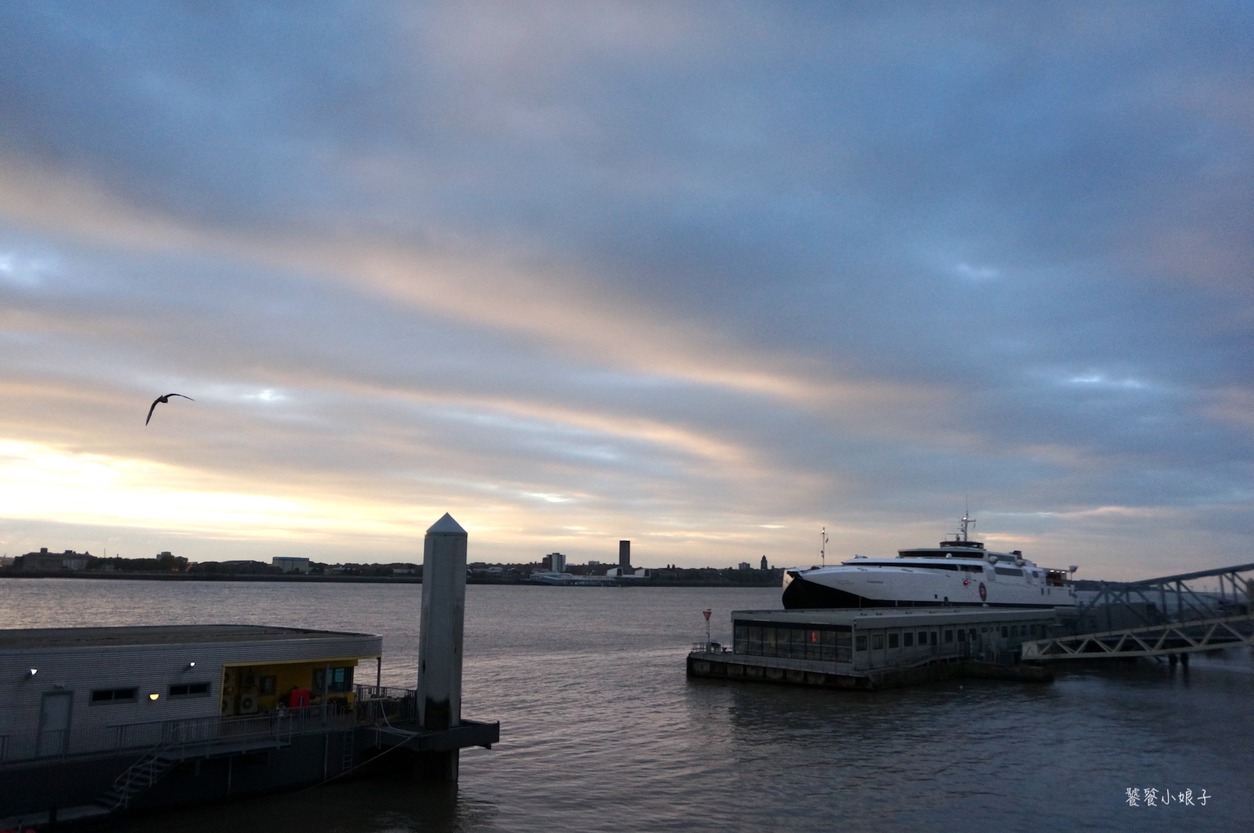 利物浦队徽上是什么鸟,利物浦队徽上的是什么鸟