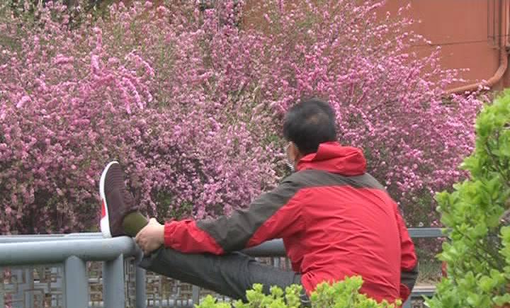 春暖花开过敏预防科普,春暖花开容易过敏怎么办