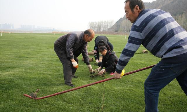 河南小伙好吃懒做,河南小伙放弃百万年薪回家种地