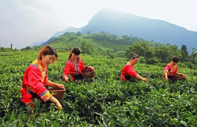 平武县秘境,平武旅游最佳打卡地