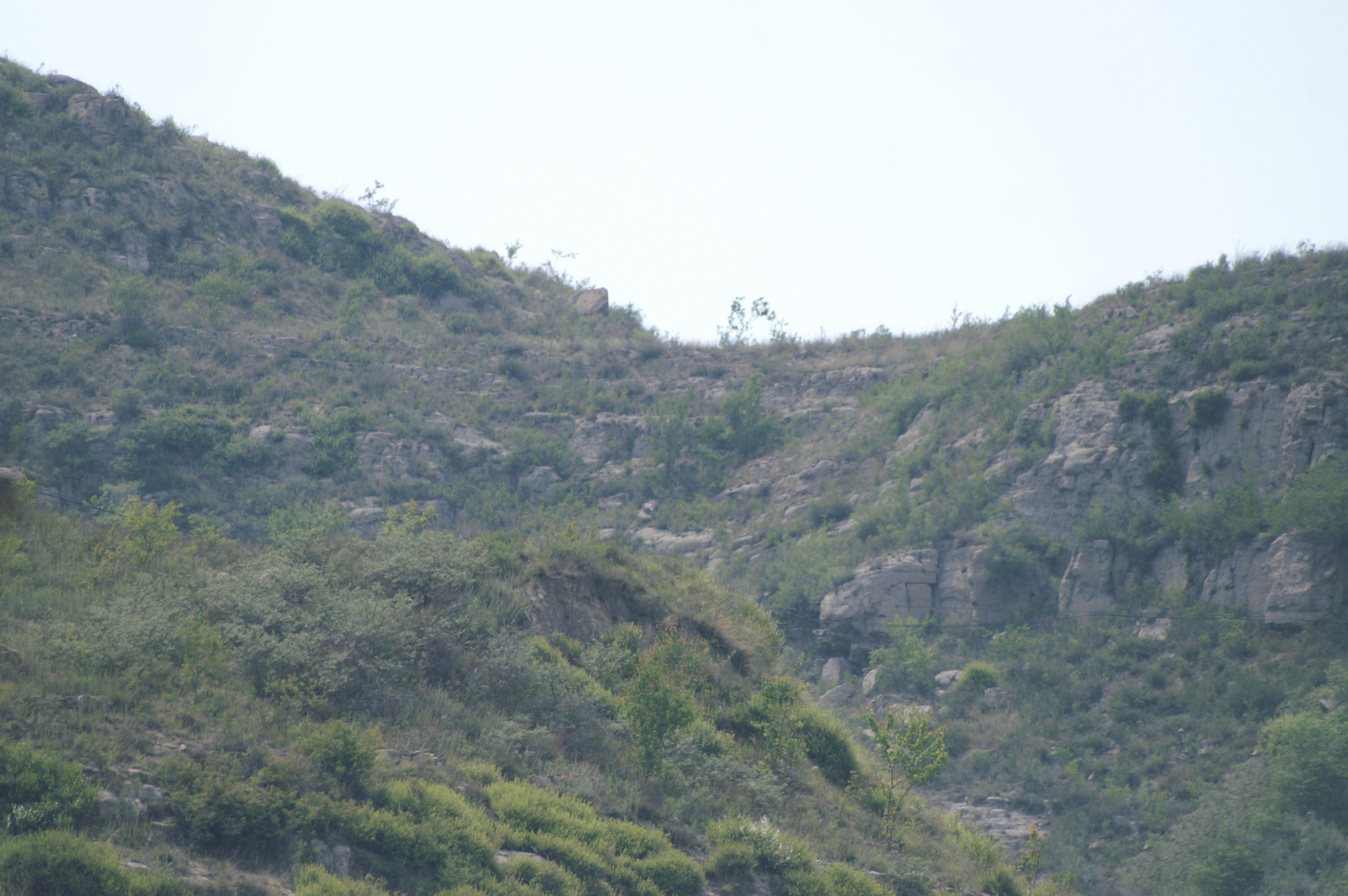 晋中市太谷区圣果寺,晋中市太谷区范村镇圆智寺