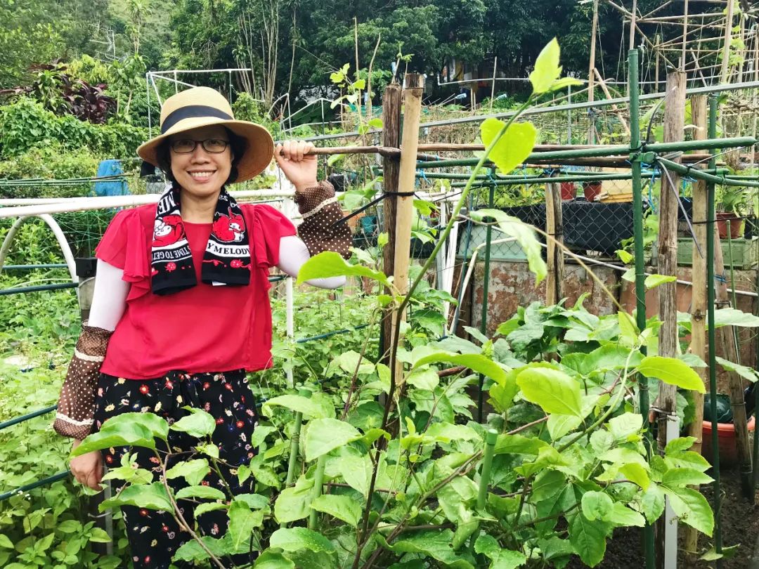 香港“钻的”的十年社企路:为残障人士提供有尊严的公共服务