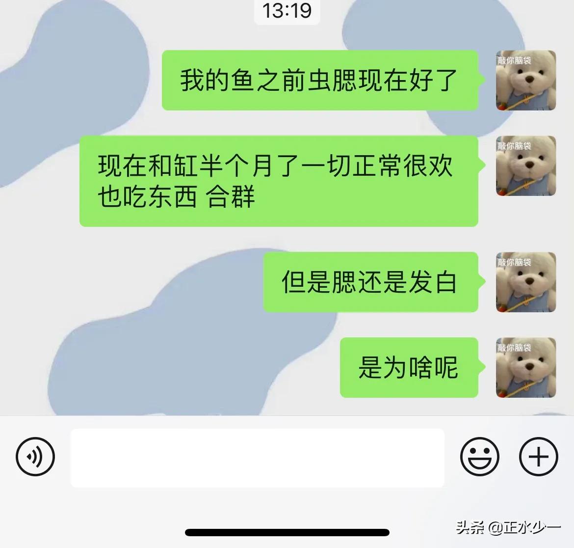 观赏鱼鱼鳃病可以用碘伏吗,观赏鱼鱼病治疗