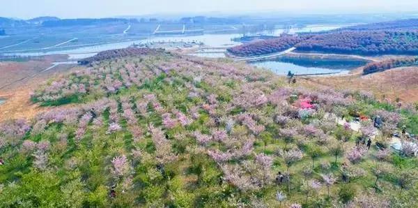 「“孝”感天下情润山水」安陆，一座让你流连忘返的城市！