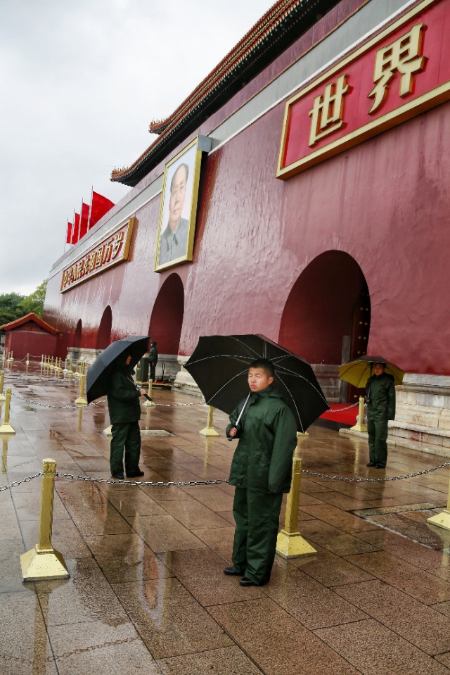 春雨图,春雨照片真实图