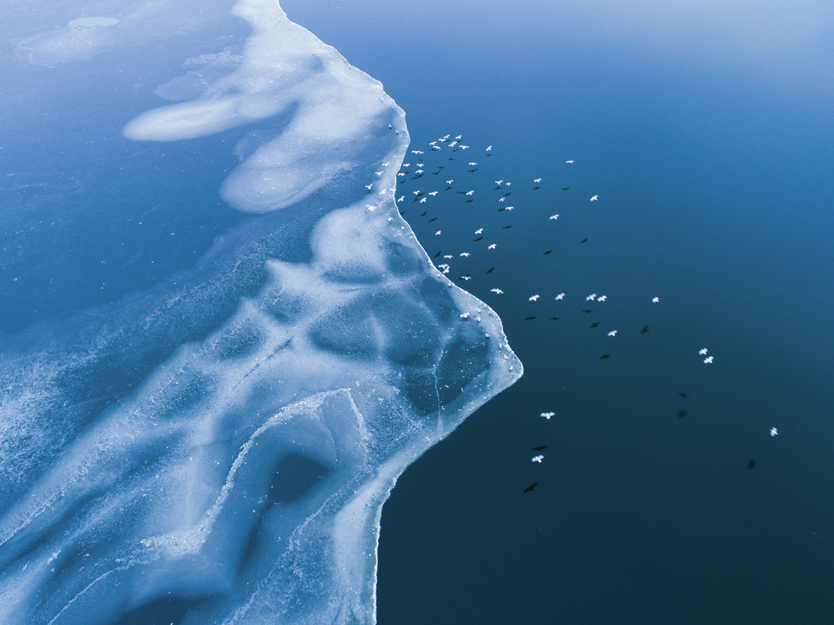 企业发展和个人规划,企业团队建设与管理