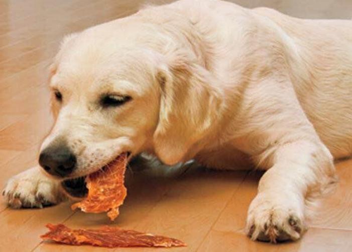 养狗必备用品比熊玩具,狗狗最爱的玩具球