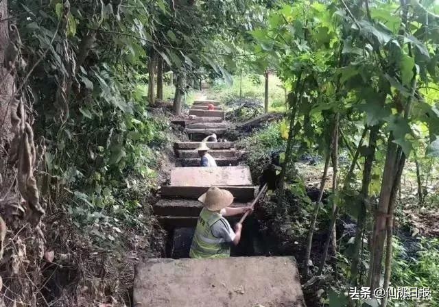 河畅水清岸绿美景图片,仙桃河景